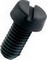 Slotted Cheese Head Screws - Black Nylon