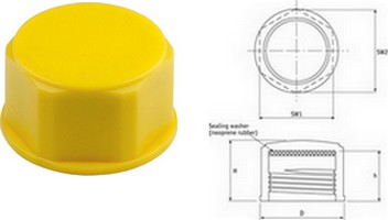 Threaded Sealing Caps